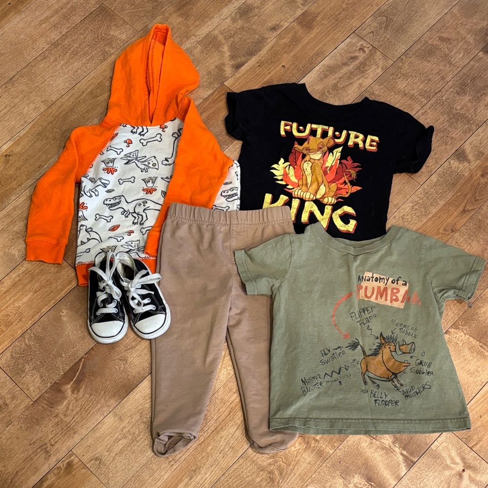 Kids Clothing Set with Dinosaur Hoodie and Lion T-Shirt